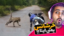 خرشانس ترین های دنیا !! شاید ب...