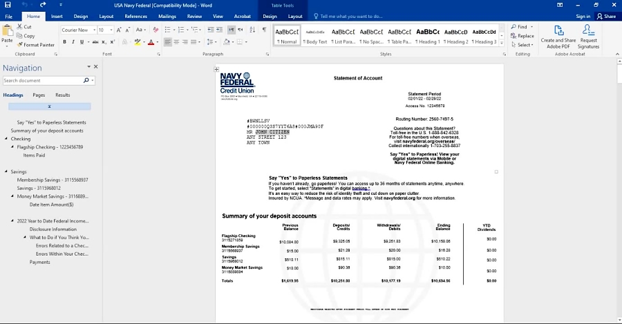 Usa Navy Federal Bank Statement Word And Pdf Template 9 Pages