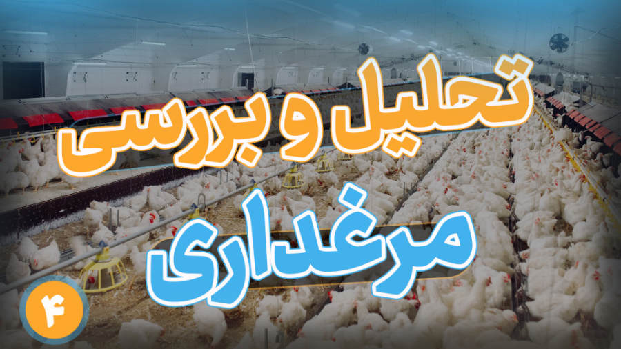 تحلیل و بررسی مرغداری گوشتی قسمت چهارم دکتر محمد مهدی عبدالهی (دامپزشک)
