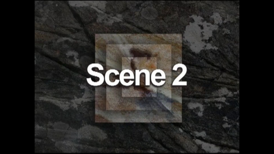 Top Notch 2 Unit 8 Scene 2