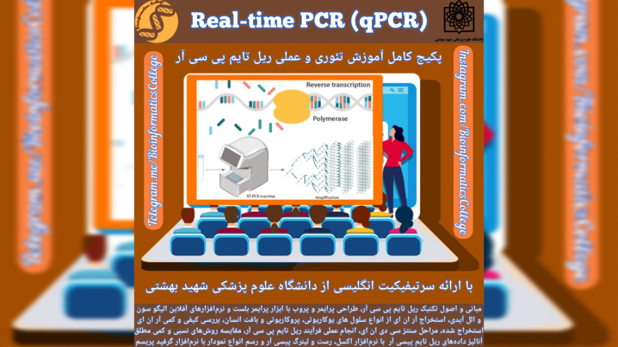 پکیج کامل Real-time PCR هایپوپاراتیروئیدیسم
