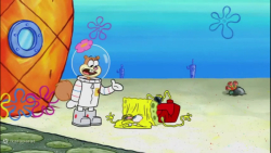 دانلود بهترین قسمت باب اسفنجی...