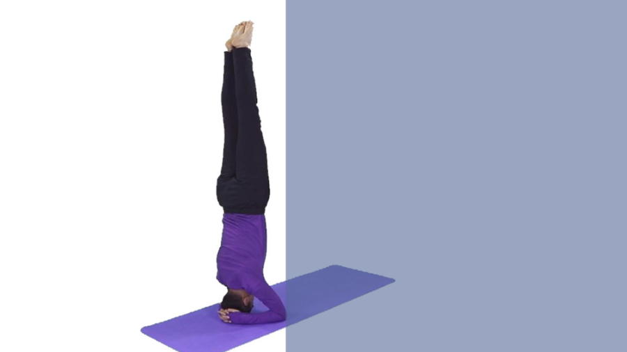 آموزش یوگا پیشرفته - شیرشاسانا