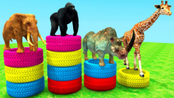 چه کسی بلندتر است؟ گوریل، زامب...