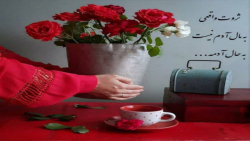 تبریک روز جهانی زن|روز جهانی زن|روز زن|کلیپ عاشقانه شاد|کلیپ زیبابرای وضعیت|4