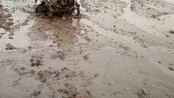 ویدوی طنز علیرضا نگاری