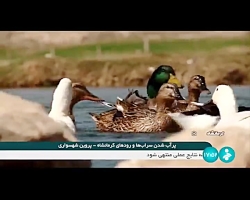 پر آب شدن سراب ها و رودهای کرمانشاه پر آب شدن سراب ها و رودهای کرمانشاه