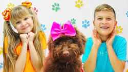 دیانا و روما  دایانا و روما یک...