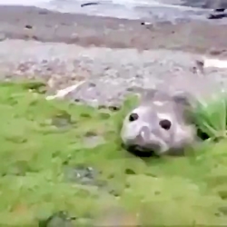 وقتی یکی غذاتو میخوره