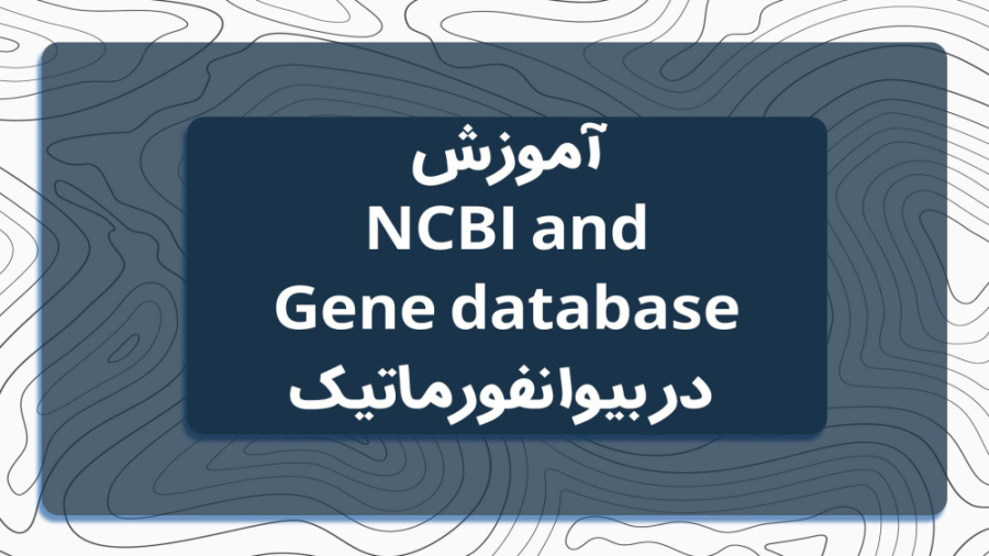 آموزش NCBI and Gene database در بیوانفورماتیک بیانسه