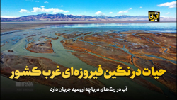 حیات در نگین فیروزه ای غرب کشور حیات در نگین فیروزه ای غرب کشور