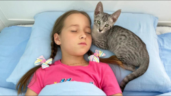 برنامه کودک پرنسس سوفیا  بازی...