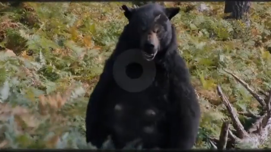 فیلم سینمایی جدید خرس کوکائینی با دوبله فارسی Cocaine Bear 2023 زمان5661ثانیه