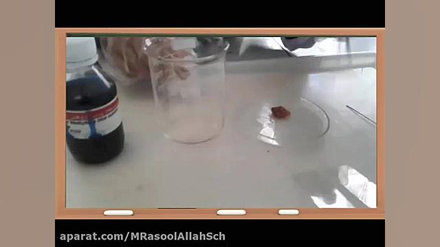 توضیح و شرح آزمایش یاخته های ماهیچه ای هیدروراکس