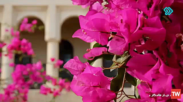 معرفی بناهای تاریخی بندر لنگه   فیلم زمان62ثانیه