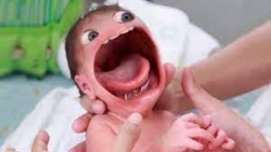 ویدیو های خنده دار