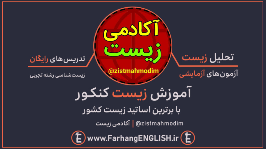 تدریس مجاری تنفسی استاد غلامی هولوگرام سه‌بعدی جراحی
