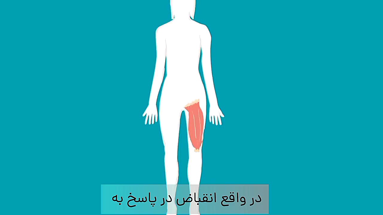 اسپاسم عضلانی چیست؟ ساندرا بولاک