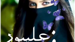 آهنگ لری که عاشقش میشی با صدای استاد فرج علیپور