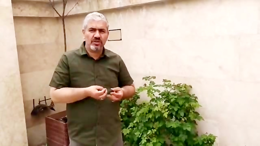 کود مناسب گیاهان در فصل بهار