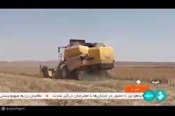 صرفه جویی در مصرف آب با اجرای طرح الگوی کشت صرفه جویی در مصرف آب با اجرای طرح الگوی کشت