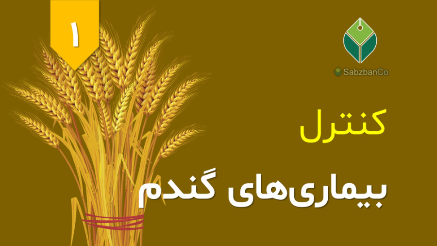 کنترل بیماری‌های گندم، قسمت اول زمان78ثانیه