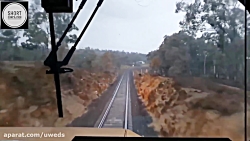 تصاویر از تصادف حیوانات با قطا...