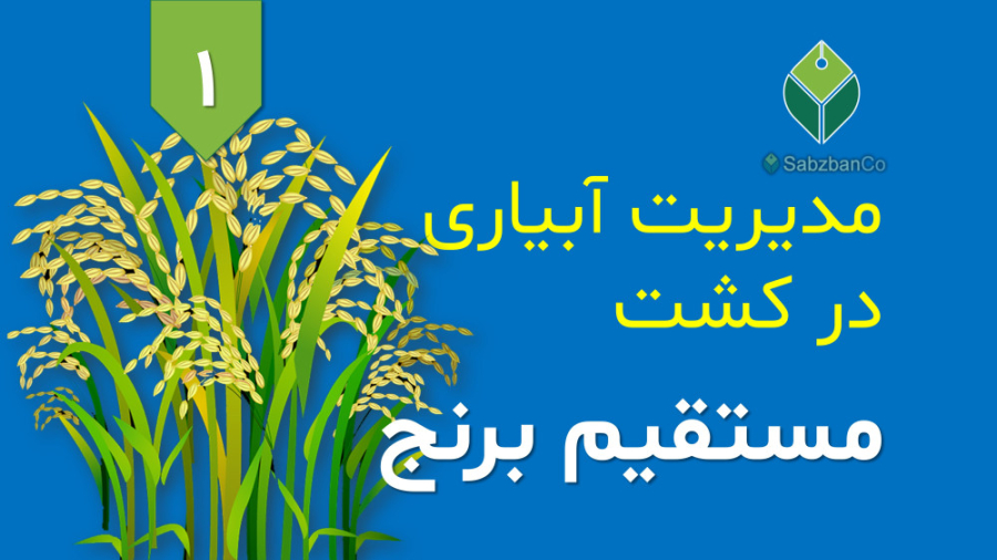 مدیریت آبیاری در کشت مستقیم برنج، قسمت 1: معرفی دوره زمان37ثانیه