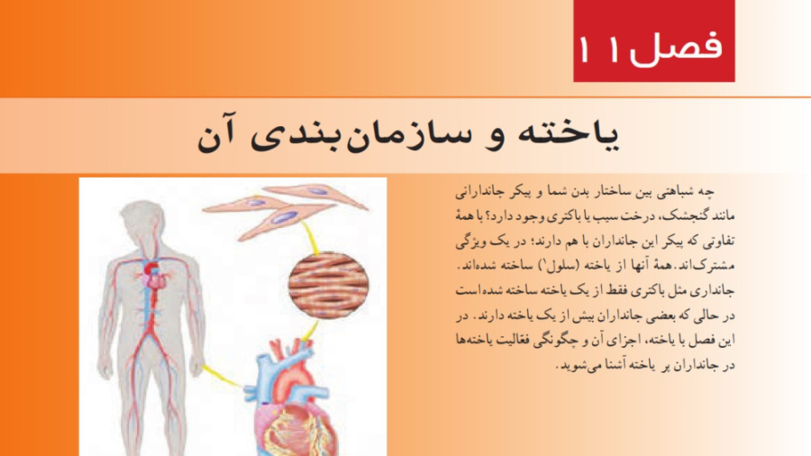 تدریس فصل 11 علوم تجربی پایه هفتم - یاخته و سازمان بندی آن - استاد سیدرضا واقفی کلونینگ درمانی
