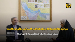 عنایتی: سیاست دولت سیزدهم در توسعه اصل همسایگی موفق بوده است عنایتی: سیاست دولت سیزدهم در توسعه اصل همسایگی موفق بوده است
