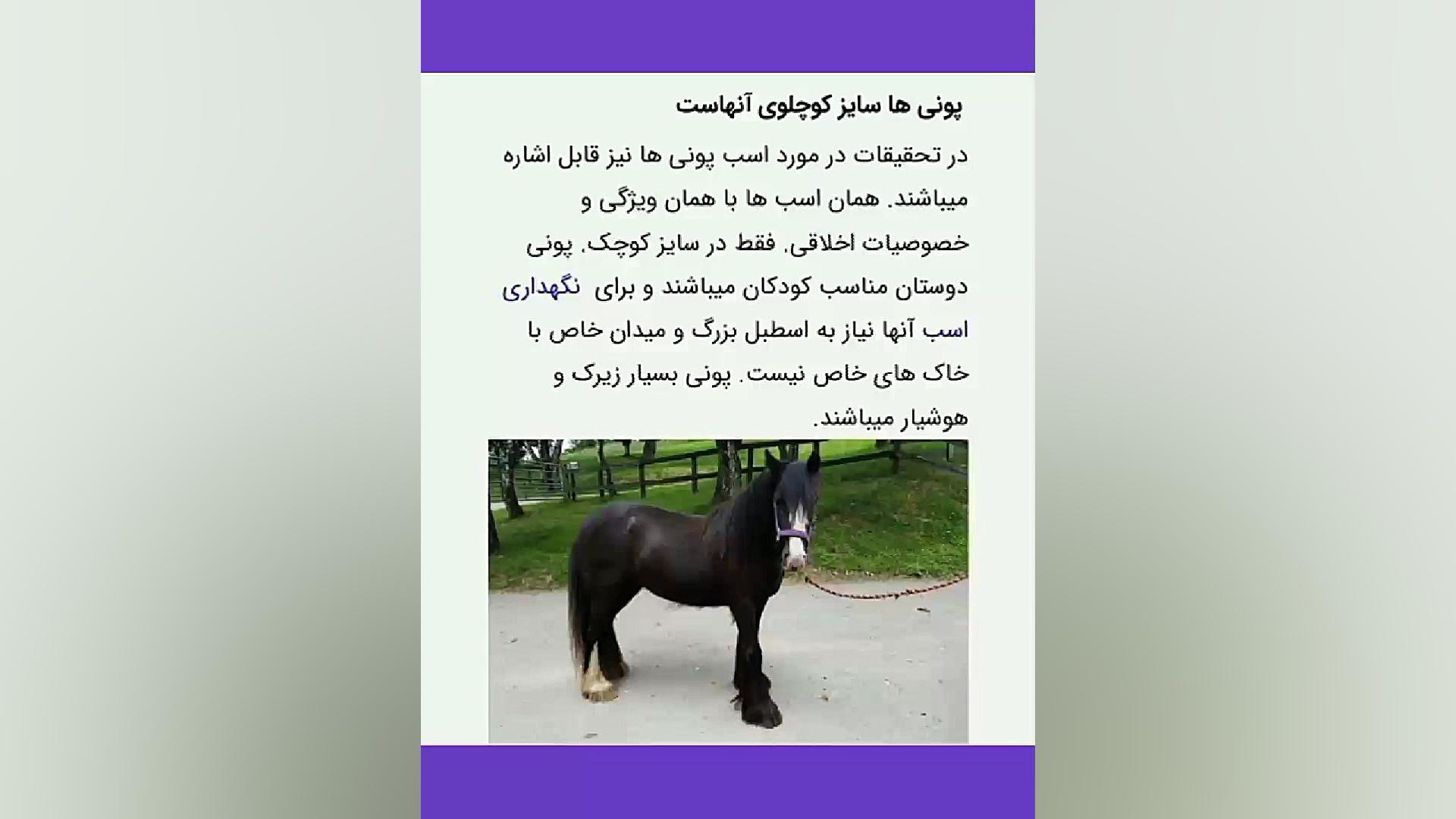 فاطمه روشندل پایه هشتم دبیرستان شهید سید آقا معرفی اسب ها زمان38ثانیه