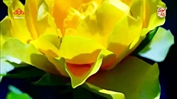 کلیپ طنز و خنده دار مش عامو