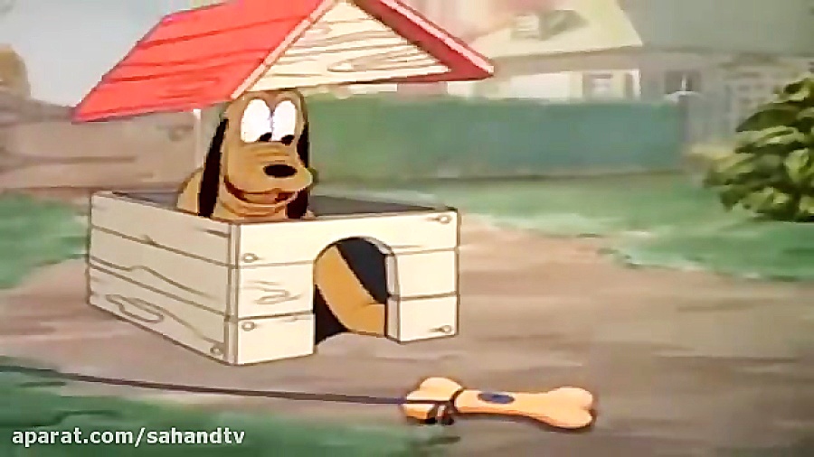 انیمیشن اردک و سنجابها Donald Duck - Chip, Dale Cartoon RF Test
