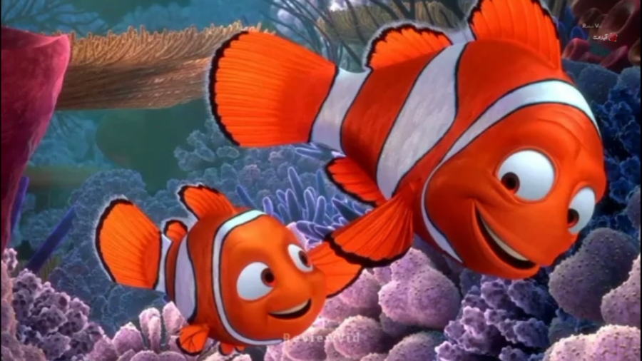 معرفی انیمیشن FINDING NEMO | از بهترین انیمیشن های والت دیزنی زمان97ثانیه