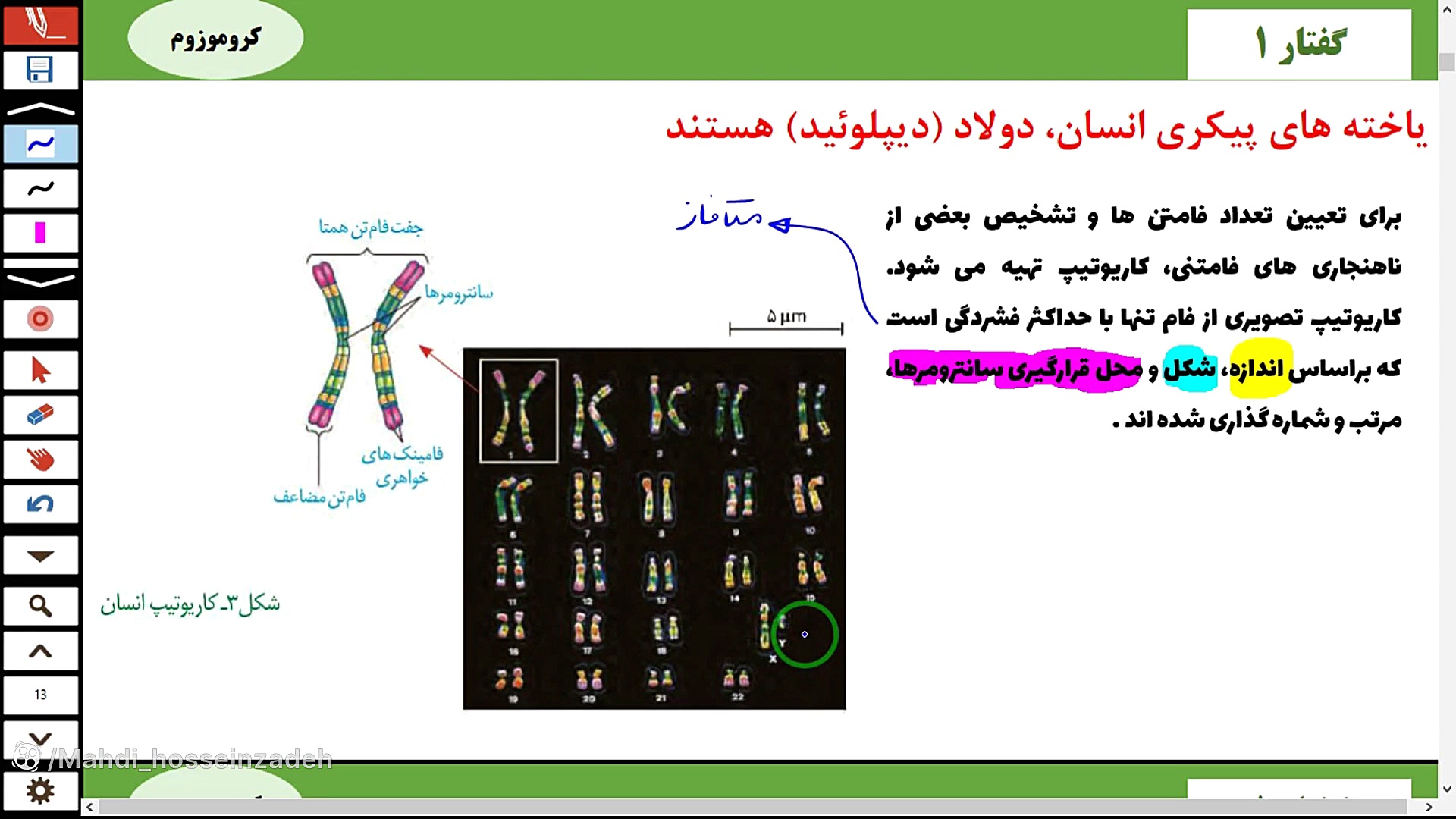 فیلم تدریس کامل تقسیم سلولی-فصل 6 یازدهم-تمام نکات-قسمت 1-مهدی محمد حسین زاده جراحی لثه