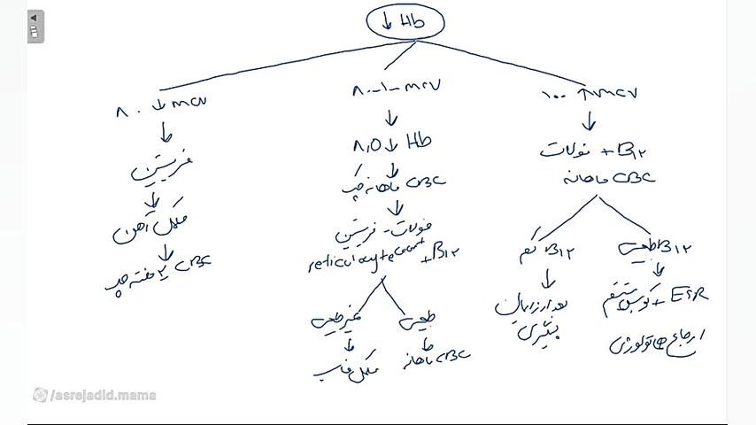 تفسیر هموگلوبین در بارداری اندودنتیکس