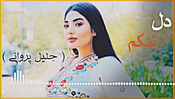 آهنگ افغانی جلیل پروانی  دلتنگ...