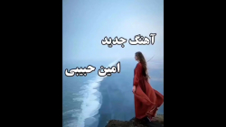آهنگ جدید امین حبیبی آهنگ جدید...