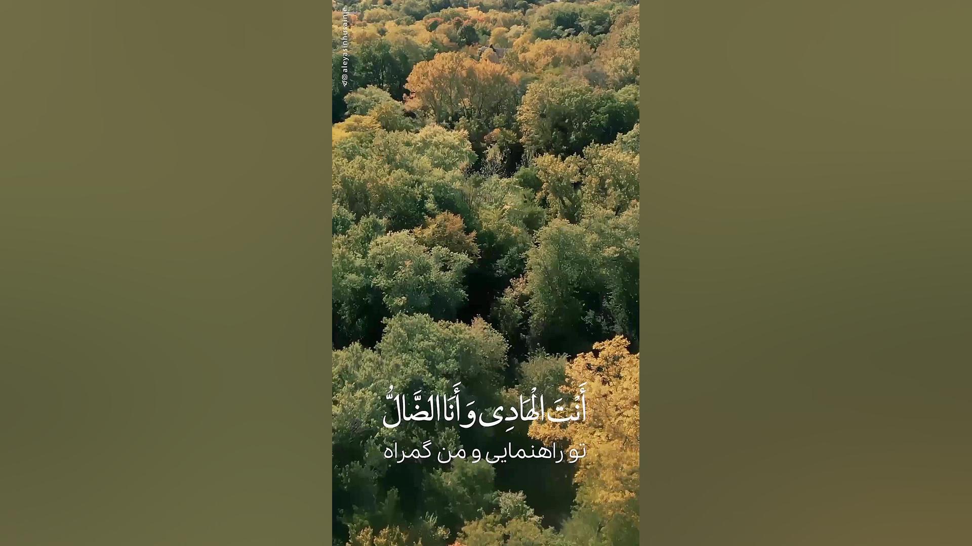 استوری مناجات امیر المؤمنین در مسجد کوفه مایکل جردن