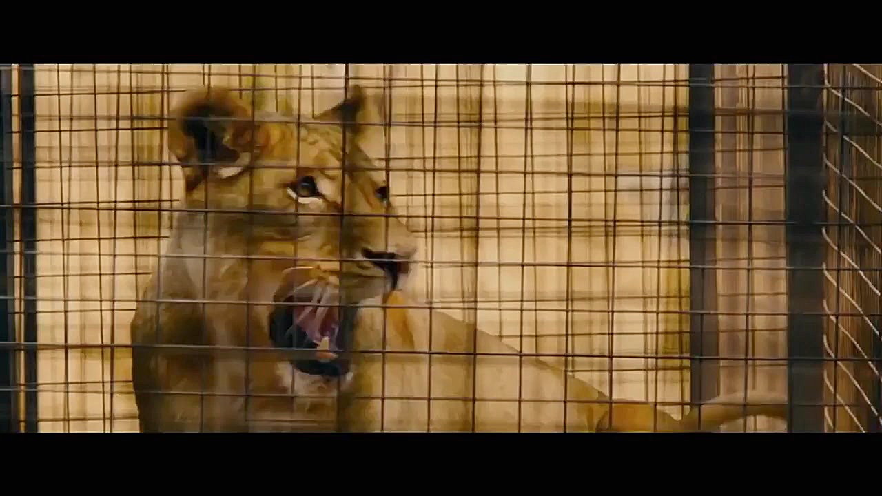 تریلر معرفی فیلم یاغی Rogue زمان155ثانیه