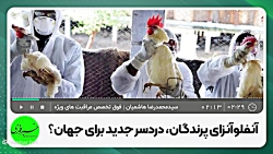 آنفلوآنزای پرندگان، جان می گیرد؟ آنفلوآنزای پرندگان، جان می گیرد؟