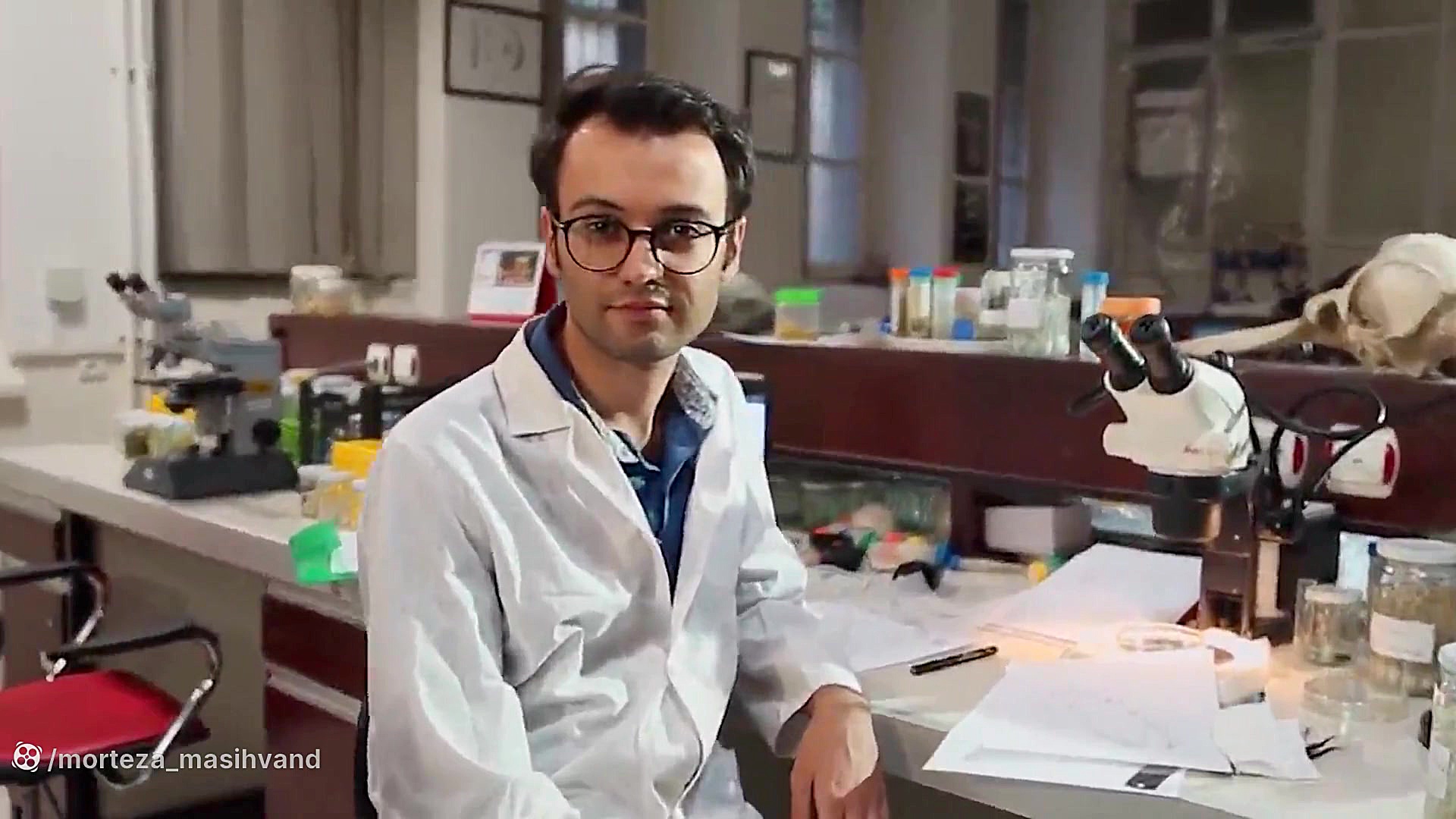 معرفی رشته شنوایی سنجی خرس پانداویچ