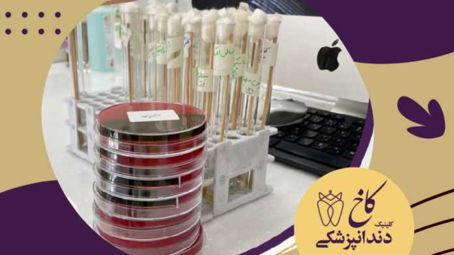 کنترل کیفیت بهداشت کلینیک به صورت داوطلبانه کلینیک دندانپزشکی کاخ
