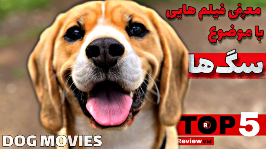 معرفی فیلم های سینمایی با موضوع سگ ها زمان455ثانیه