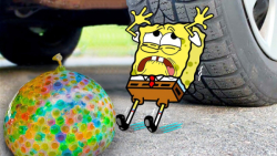 له شدن اجسام کیوت هالک رو له ک...