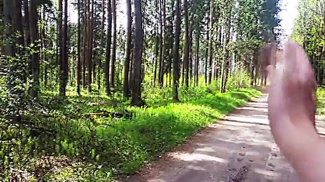 عارضه بینایی پالینوپسیا - یکی از علائم سندرم دید برفکی گل گدوت