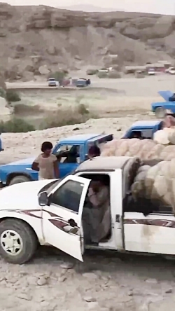*«من زنده برگشتم» *«من زنده برگشتم»