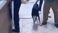 خدایی اینقدر هم ترسناک نیست