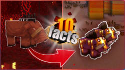 10 تا چیز که احتمالا درباره ی...