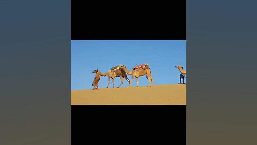 بوی جوی مولیان آید همی رودکی خوانش تنظیم عباس هقان جواد عزتی